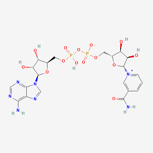 Structure moléculaire